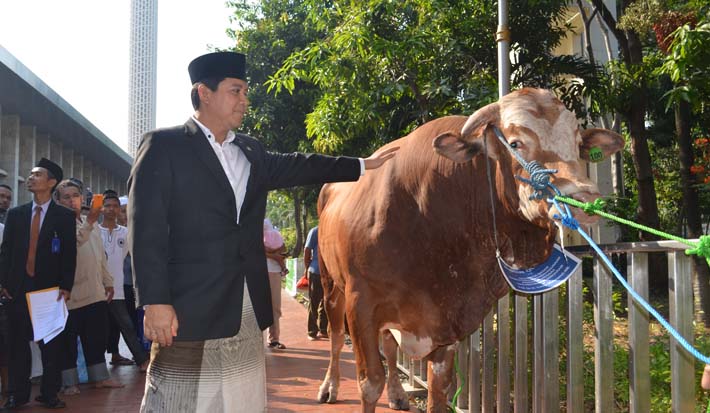 20150924 menter Yudi mentyerahkan Kambing ke Istiqlal 05