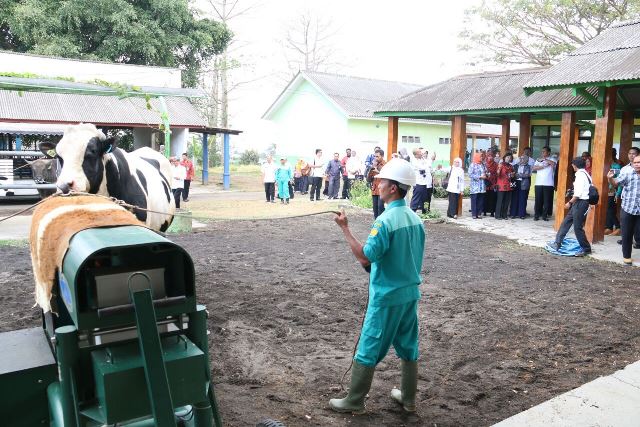 20170913 Menteri BBIB Singosari Malang8