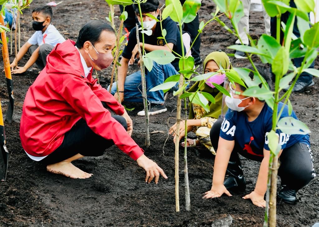 20210929 Presiden Rehabilitasi Mangrove Akan Terus Kita Lakukan