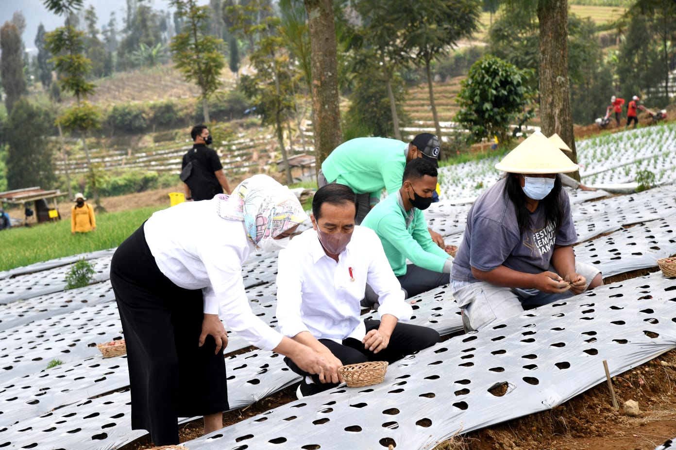 20211215 Tanam Bawang dengan Petani Presiden Harap Produktivitas dan Pendapatan Petani Meningkat