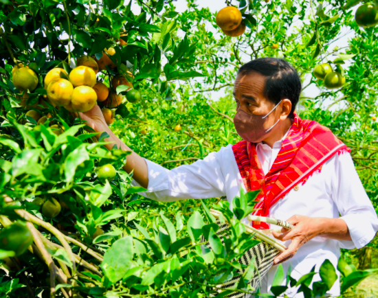 20220207 Presiden Jokowi Tegaskan Pentingnya Infrastruktur Jalan untuk Tunjang Kegiatan Produksi