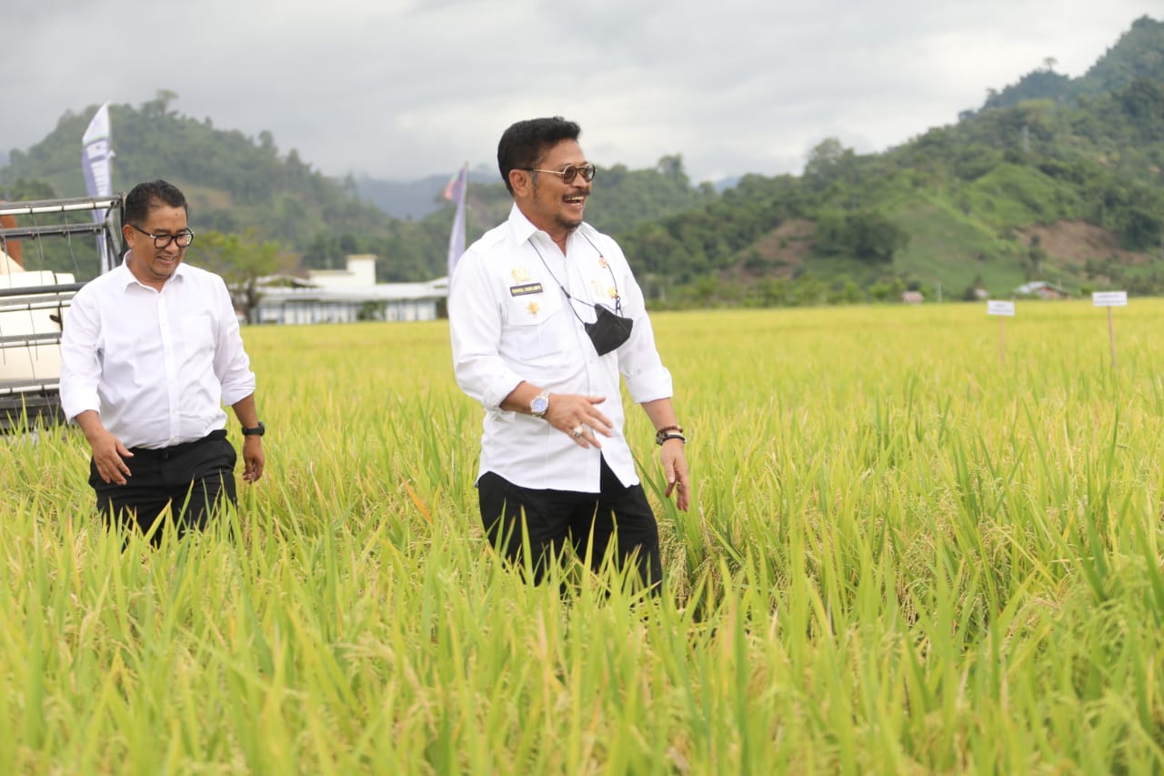 20230113 Mentan Pastikan Kondisi Beras Nasional Aman