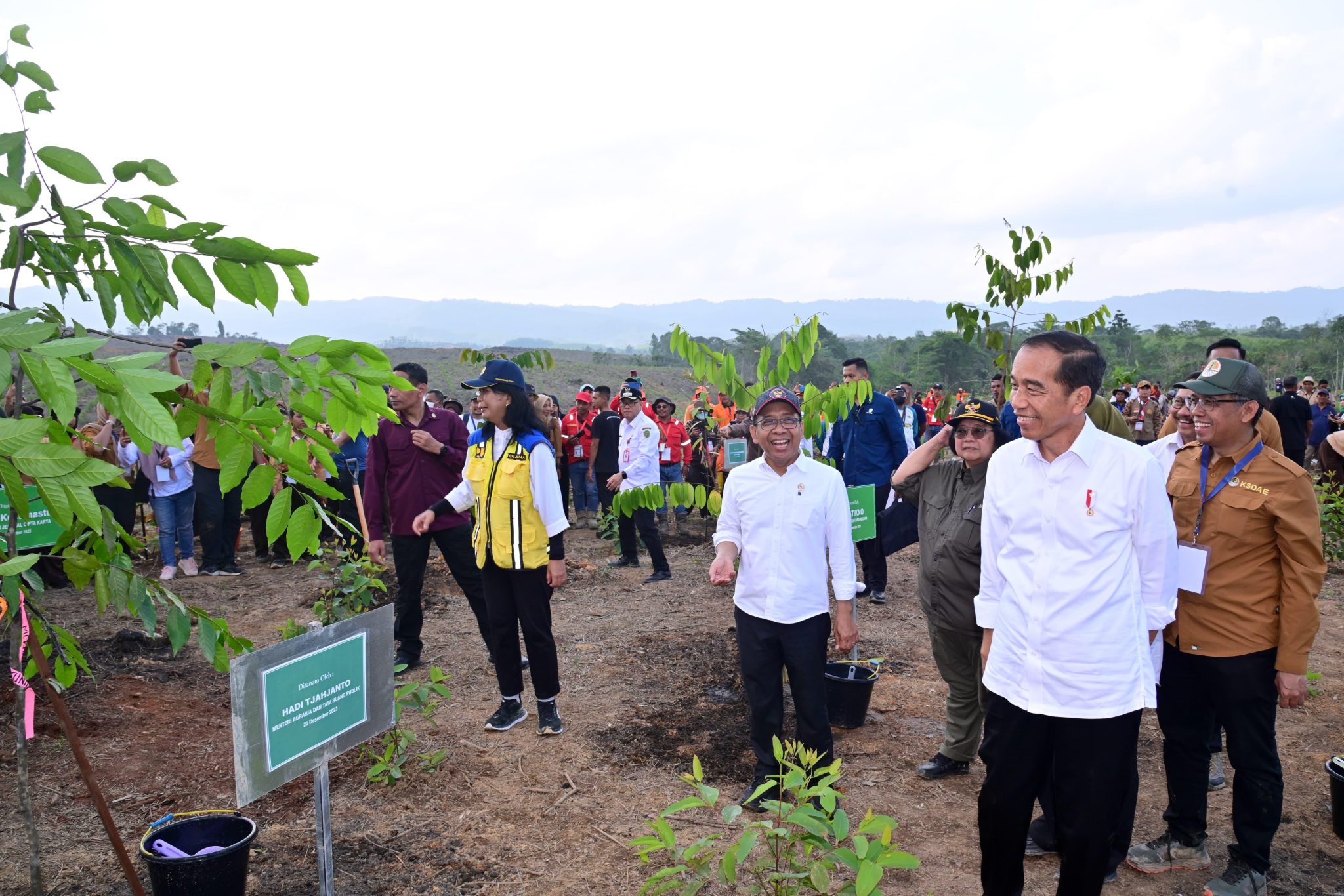 20231220 Mulai Penghijauan IKN Presiden Untuk Bangun Hutan Hujan Tropis yang Beragam