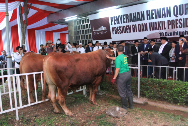 20190811 Menteri Iduladha 9