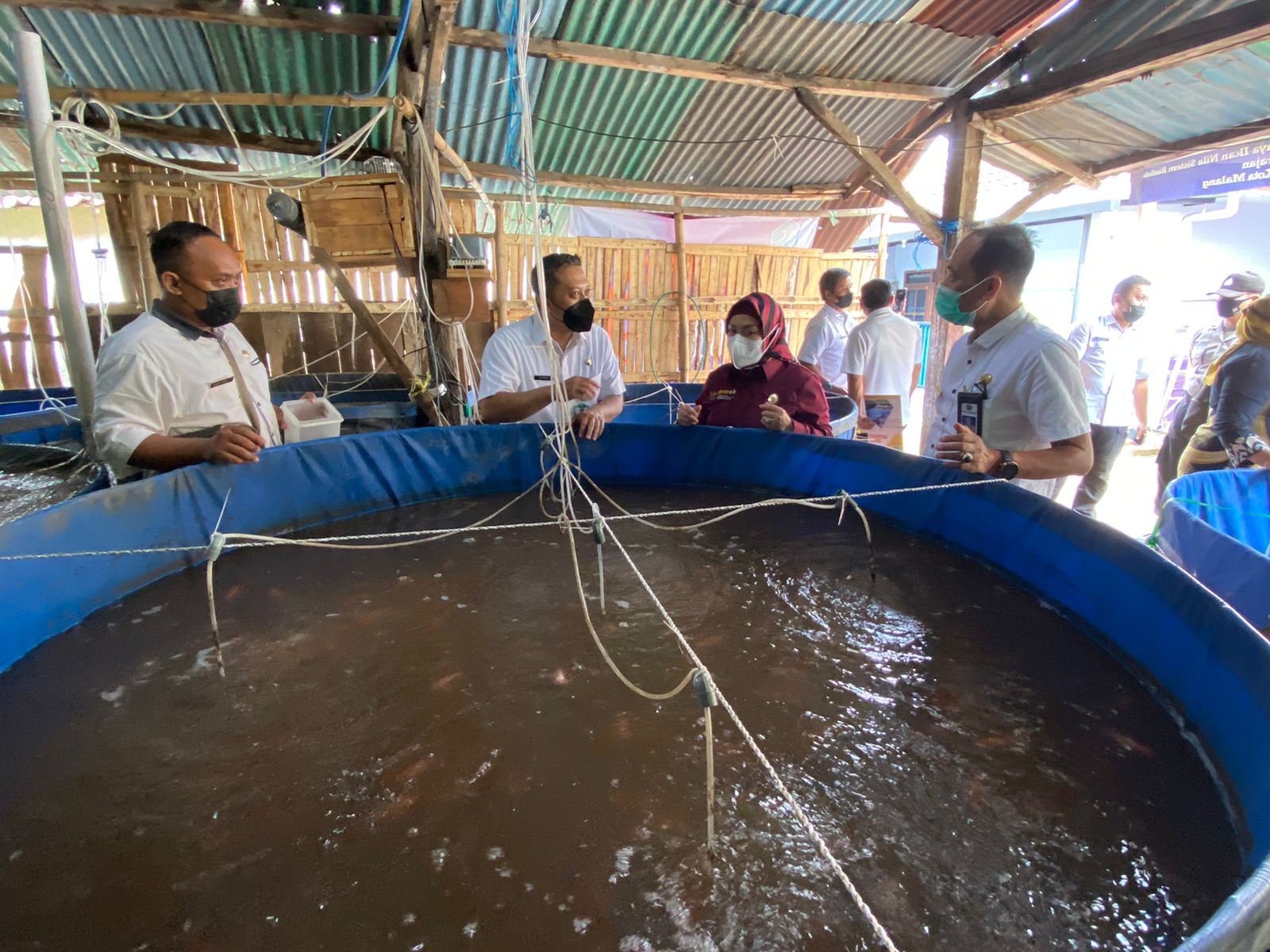 20211216 Peninjauan Inovasi Si Ikan Nila 10