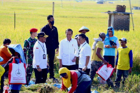 20230313 Hadapi Kemarau Panjang Mentan Maksimalkan Panen Serentak