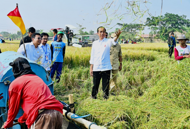 20231009 Panen Raya di Subang Presiden Diharapkan Tambah Cadangan Beras Kita