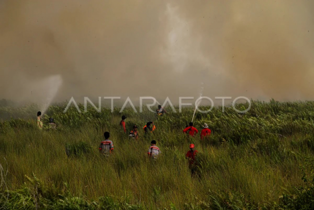 20240315 Mendagri Minta Pemda Buat Regulasi Penanganan Karhutla