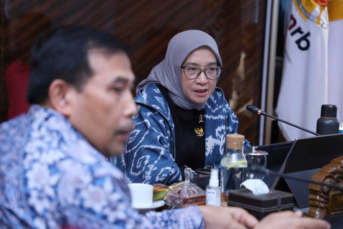 20241217 Audiensi dengan Ketua Ombudsman RI 11